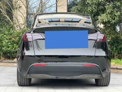 Tesla Model Y Rear-Wheel Drive - ფოტო 8
