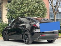Tesla Model Y Rear-Wheel Drive - ფოტო 9
