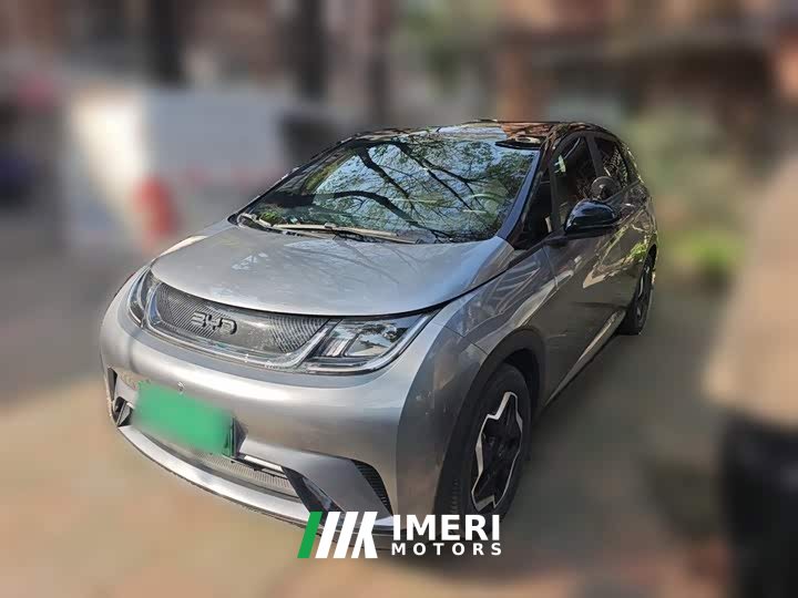 BYD Dolphin 405km Fashion Edition - ავტომობილი ჩინეთიდან