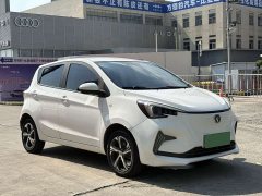 Changan Benben E-Star Pure Heart Edition Colorful Edition Ternary Lithium - ფოტო 3