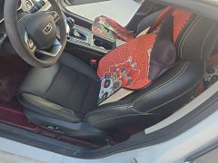 Geely Binrui 1.4T CVT Asian Games Edition - ფოტო 11