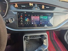 Geely Binrui 1.4T CVT Asian Games Edition - ფოტო 9