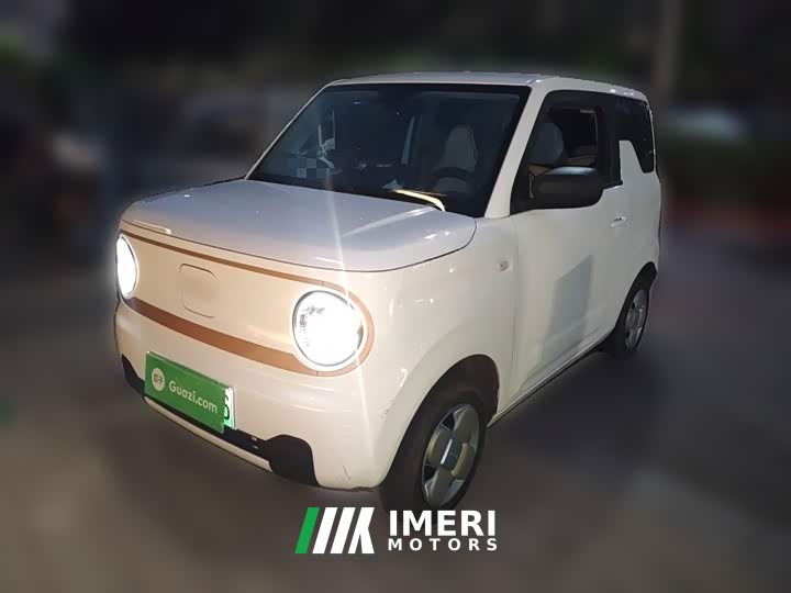 Geely Panda 2024 Panda Mini 200km Endurance Edition - ავტომობილი ჩინეთიდან