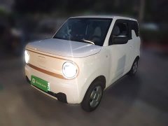 Geely Panda 2024 Panda Mini 200km Endurance Edition - ფოტო 1