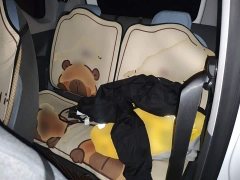 Geely Panda 2024 Panda Mini 200km Endurance Edition - ფოტო 13