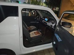 Geely Panda 2024 Panda Mini 200km Endurance Edition - ფოტო 19