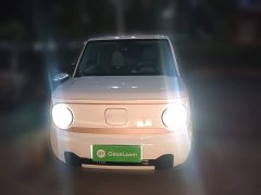 Geely Panda 2024 Panda Mini 200km Endurance Edition - ფოტო 2