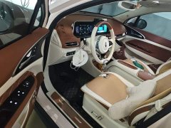ORA Good Cat 2024 401km Deluxe 135kW - ფოტო 12