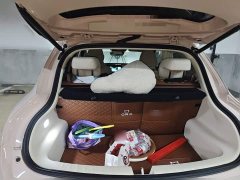 ORA Good Cat 2024 401km Deluxe 135kW - ფოტო 15