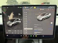 Tesla Model Y 2024 Rear-Wheel Drive - ფოტო 10