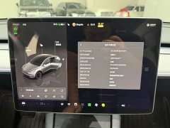 Tesla Model Y 2024 Rear-Wheel Drive - ფოტო 12