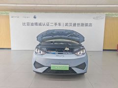 BYD Seagull 305km Freedom Edition - ფოტო 2