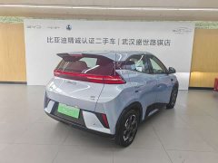 BYD Seagull 305km Freedom Edition - ფოტო 5
