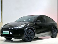 Tesla Model Y Rear-Wheel Drive - ფოტო 1