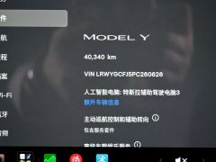 Tesla Model Y Rear-Wheel Drive - ფოტო 13