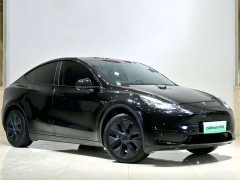 Tesla Model Y Rear-Wheel Drive - ფოტო 3