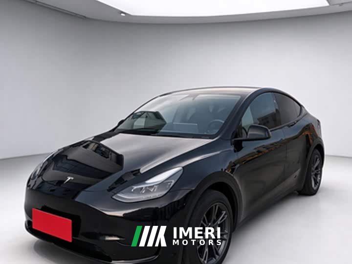 Tesla Model Y Rear-Wheel Drive - ავტომობილი ჩინეთიდან