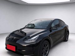 Tesla Model Y Rear-Wheel Drive - ფოტო 1