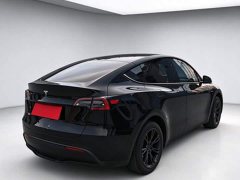 Tesla Model Y Rear-Wheel Drive - ფოტო 2