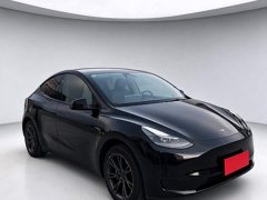 Tesla Model Y Rear-Wheel Drive - ფოტო 3