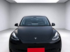 Tesla Model Y Rear-Wheel Drive - ფოტო 5