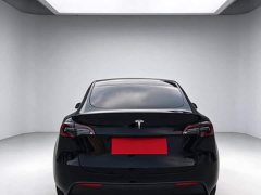 Tesla Model Y Rear-Wheel Drive - ფოტო 6