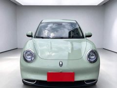 ORA Good Cat 401km Standard Range Luxury LFP - ფოტო 2