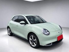 ORA Good Cat 401km Standard Range Luxury LFP - ფოტო 3