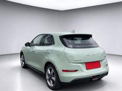 ORA Good Cat 401km Standard Range Luxury LFP - ფოტო 4