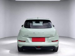 ORA Good Cat 401km Standard Range Luxury LFP - ფოტო 5