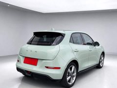 ORA Good Cat 401km Standard Range Luxury LFP - ფოტო 6
