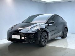Tesla Model Y Rear-Wheel Drive - ფოტო 1