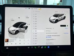 Tesla Model Y Rear-Wheel Drive - ფოტო 16