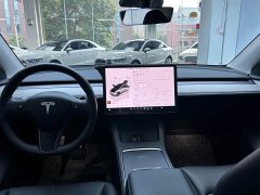 Tesla Model Y Rear-Wheel Drive - ფოტო 20
