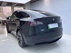 Tesla Model Y Rear-Wheel Drive - ფოტო 5