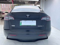 Tesla Model Y Rear-Wheel Drive - ფოტო 6
