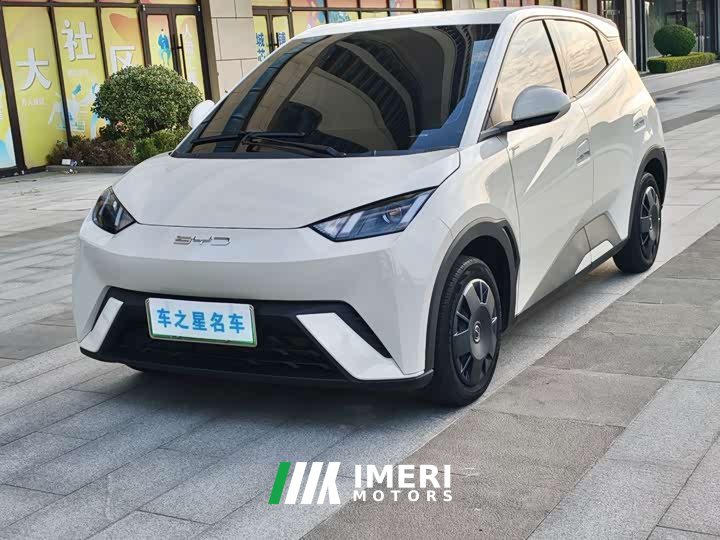 BYD Seagull Glory Edition 305km Vitality Version - ავტომობილი ჩინეთიდან