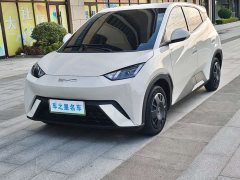 BYD Seagull Glory Edition 305km Vitality Version - ფოტო 1