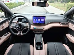 BYD Seagull Glory Edition 305km Vitality Version - ფოტო 10