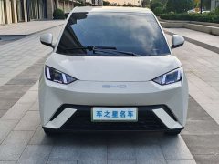 BYD Seagull Glory Edition 305km Vitality Version - ფოტო 2