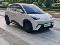 BYD Seagull Glory Edition 305km Vitality Version - ფოტო 3
