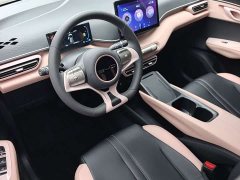 BYD Seagull Glory Edition 305km Vitality Version - ფოტო 7