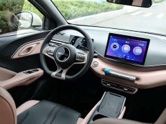 BYD Seagull Glory Edition 305km Vitality Version - ფოტო 8