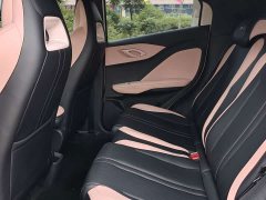 BYD Seagull Glory Edition 305km Vitality Version - ფოტო 9