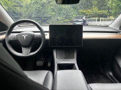 Tesla Model Y 2021 Standard Range RWD - ფოტო 15