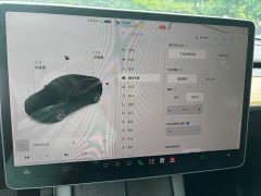 Tesla Model Y 2021 Standard Range RWD - ფოტო 17