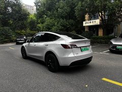 Tesla Model Y 2021 Standard Range RWD - ფოტო 3