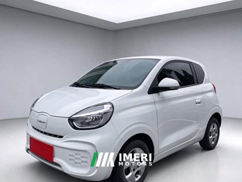 2022 SAIC Corey Wei CLEVER 2021 302km All-Purpose Edition - ავტომობილი ჩინეთიდან