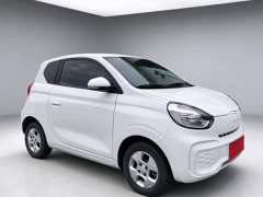 SAIC Corey Wei CLEVER 2021 302km All-Purpose Edition - ფოტო 3
