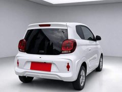 SAIC Corey Wei CLEVER 2021 302km All-Purpose Edition - ფოტო 4
